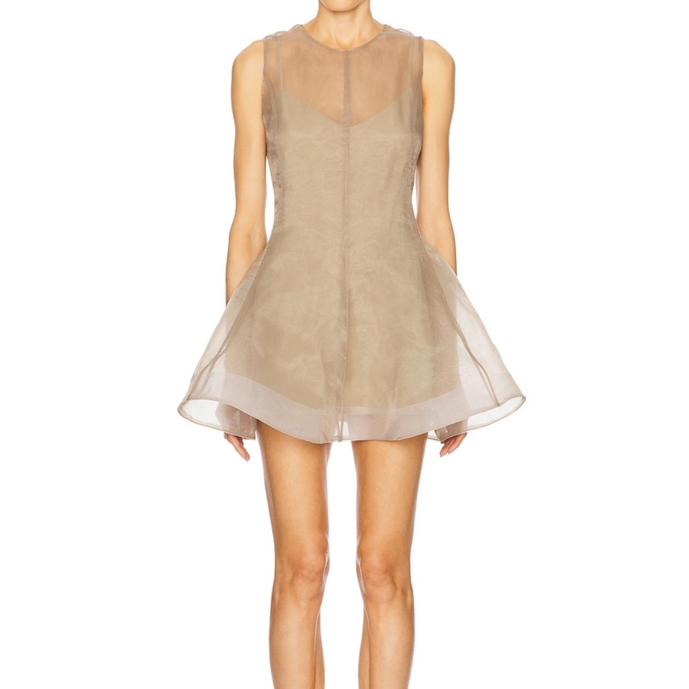 L'Academie Sheer Beige Sleeveless Dress - Picture 7 of 9